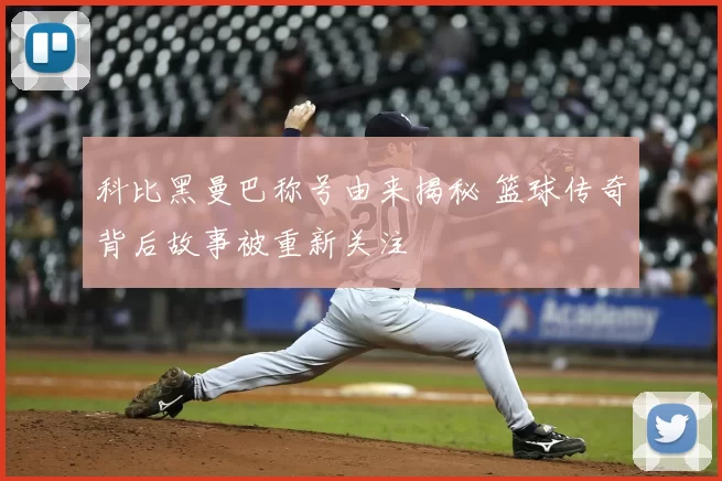 科比黑曼巴称号由来揭秘 篮球传奇背后故事被重新关注